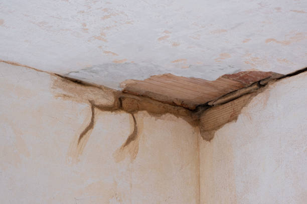 Best Sewage cleanup and water damage restoration  in Konawa, OK